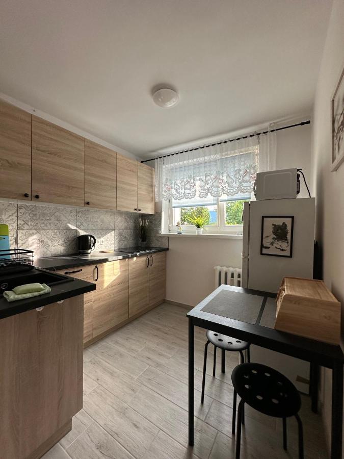 Tradycyjne Mieszkanie Przy Parku Norweskim Jelenia Góra Exterior foto